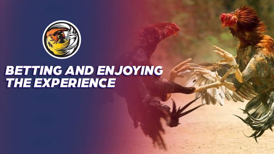 win jili casino how to bet against currency